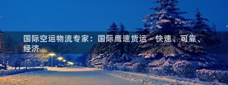 尊龙官网在哪里：国际空运物流专家：国际鹰速货运 – 快速