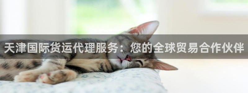 尊龙人生就是博AG旗舰厅