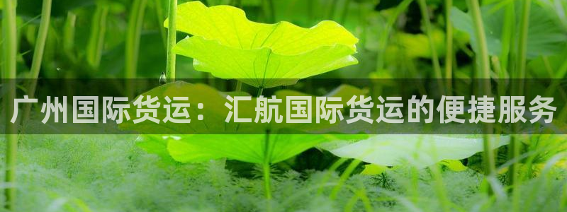 尊龙现金d88