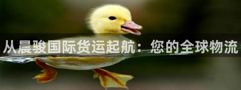 尊龙凯时 人生就是搏!：从晨骏国际货运起航：您的全球物流