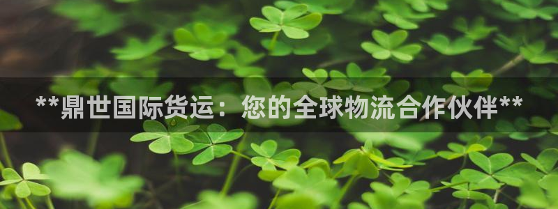 尊龙目前情况：**鼎世国际货运：您的全球物流合作伙伴**