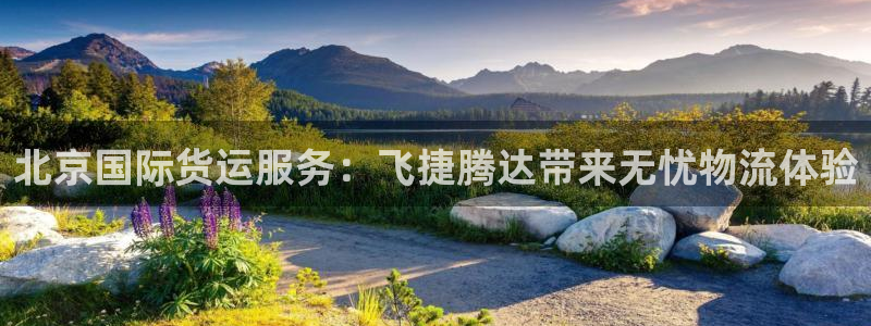尊龙凯时法充十万返现多少：北京国际货运服务：飞捷腾达带来
