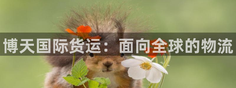 尊龙ag旗舰厅官网·(中国)官方入口：博天国际货运：面向