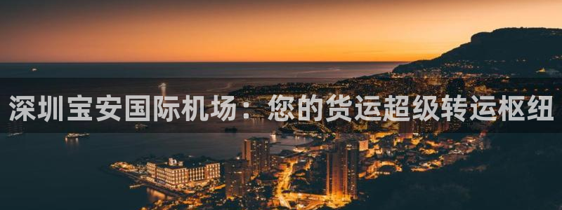 尊龙凯时代理能提出来不：深圳宝安国际机场：您的货运超级转