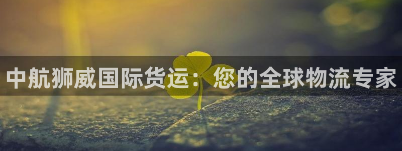 尊龙凯时总部在哪里：中航狮威国际货运：您的全球物流专家