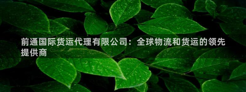 尊龙用现金一下可靠送38元：前通国际货运代理有限公司：全