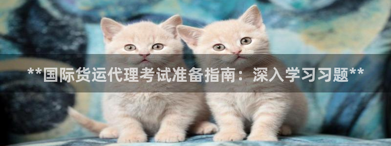 尊龙凯时口碑好吗：**国际货运代理考试准备指南：深入学习