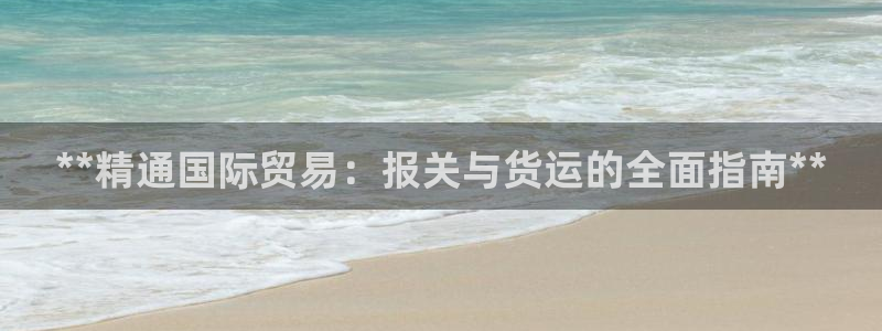 尊龙电子：**精通国际贸易：报关与货运的全面指南**