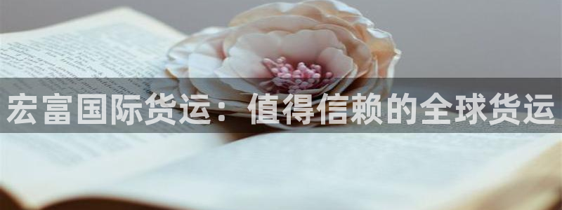 ag尊龙怎么样：宏富国际货运：值得信赖的全球货运