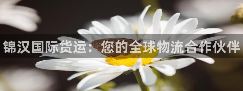 尊龙am i blue：锦汉国际货运：您的全球物流合作伙