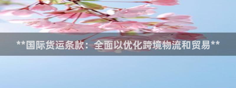 尊龙凯时导航菜单首页：**国际货运条款：全面以优化跨境物