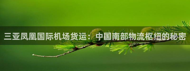 尊龙棋牌老板是谁：三亚凤凰国际机场货运：中国南部物流枢纽