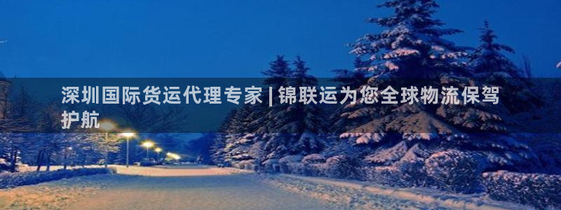 尊龙Ag：深圳国际货运代理专家 | 锦联运为您全球物流保