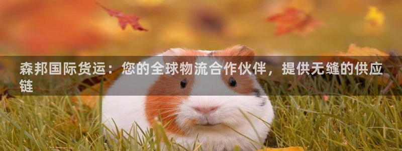 尊龙凯时人生就是搏客户：森邦国际货运：您的全球物流合作伙