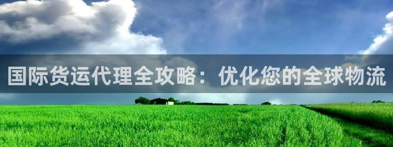 尊龙凯时官网入口：国际货运代理全攻略：优化您的全球物流