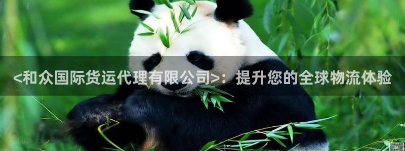 尊龙凯时几百万怎么下款：<和众国际货运代理有限公司>：提