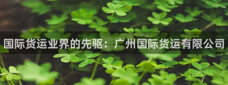尊龙凯时 人生就是搏客服：国际货运业界的先驱：广州国际货