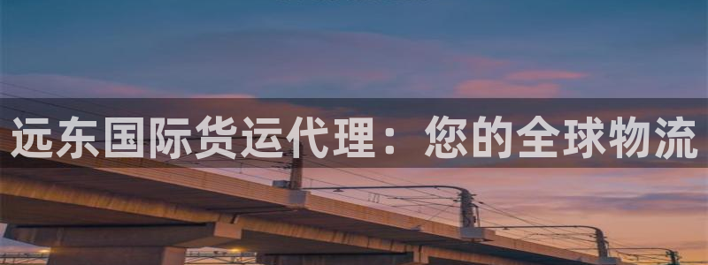 尊龙凯时人生就是博游戏网站：远东国际货运代理：您的全球物