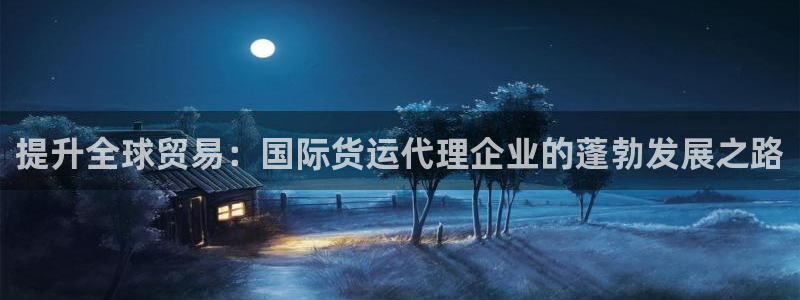 尊龙是什么软件：提升全球贸易：国际货运代理企业的蓬勃发展
