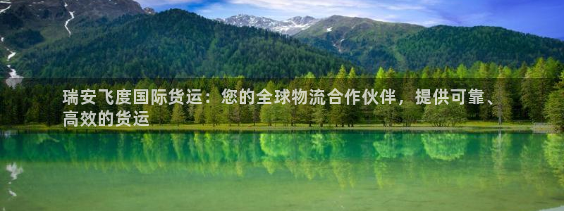 尊龙专访：瑞安飞度国际货运：您的全球物流合作伙伴，提供可
