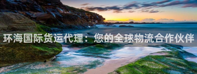 尊龙凯时网站赌愽是真的吗：环海国际货运代理：您的全球物流