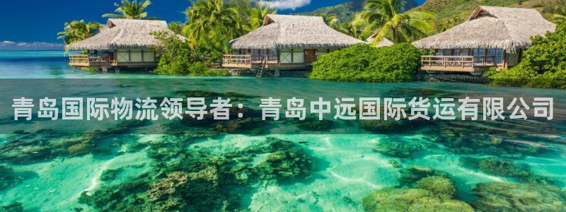 尊龙ag旗舰厅官网官方入口：青岛国际物流领导者：青岛中远