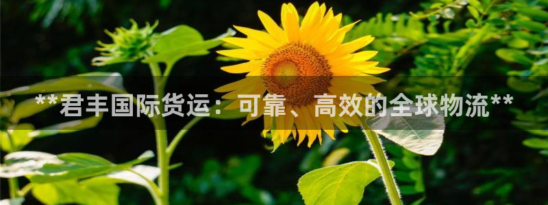 尊龙z6平台：**君丰国际货运：可靠、高效的全球物流**