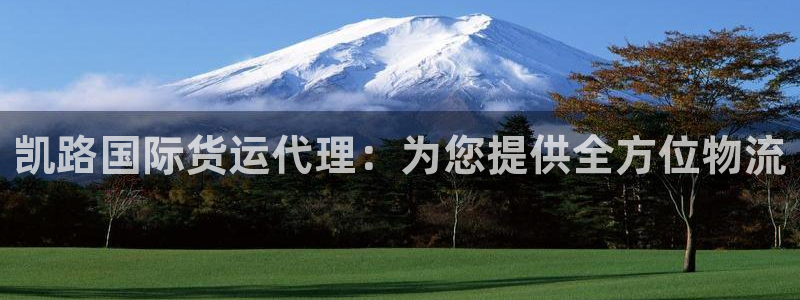 尊龙凯时 人生就是搏!：凯路国际货运代理：为您提供全方位