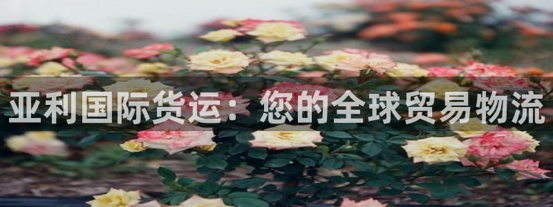 尊龙凯时登入首页：亚利国际货运：您的全球贸易物流