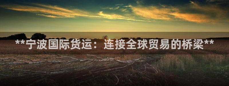 尊龙现金d88：**宁波国际货运：连接全球贸易的桥梁**