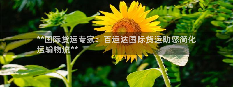 尊龙凯时ag旗舰厅登陆：**国际货运专家：百运达国际货运