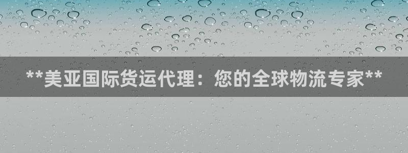 尊龙现金：**美亚国际货运代理：您的全球物流专家**