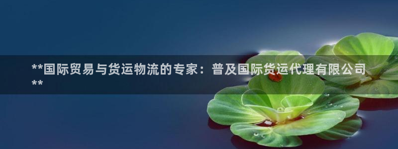 尊龙凯时不给提款：**国际贸易与货运物流的专家：普及国际