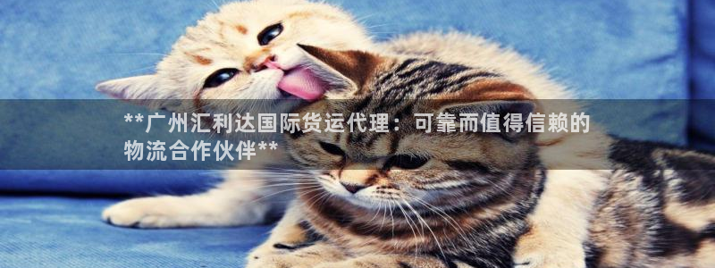 尊龙官方网站首页：**广州汇利达国际货运代理：可靠而值得