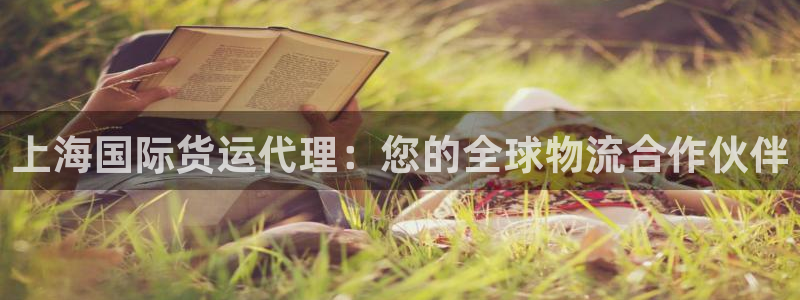 尊龙凯时只输不赢：上海国际货运代理：您的全球物流合作伙伴