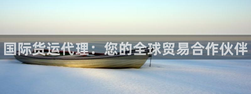尊龙t400和尊龙t300区别：国际货运代理：您的全球贸