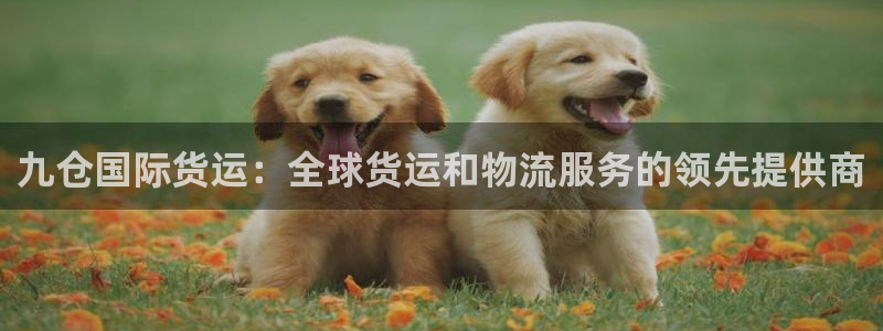 尊龙人生就是博官网登录手机：九仓国际货运：全球货运和物流