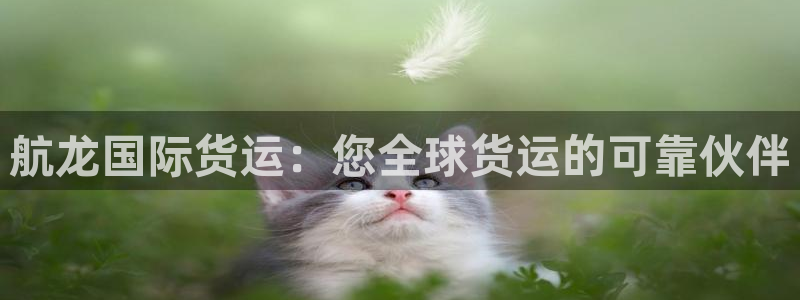 尊龙人生就是博用现金玩一下：航龙国际货运：您全球货运的可