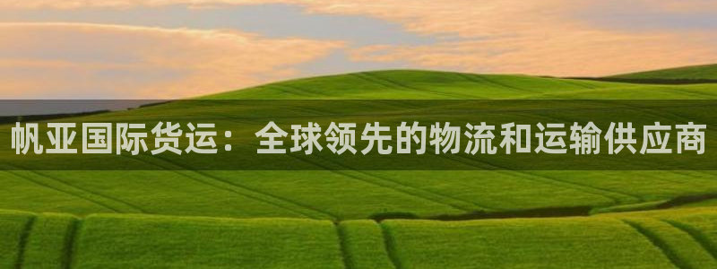 尊龙人生就是搏：帆亚国际货运：全球领先的物流和运输供应商