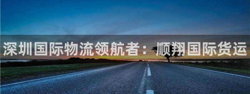 尊龙凯时 - 人生就是搏有假吗：深圳国际物流领航者：顺翔