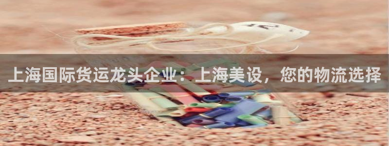 尊龙d88手机登录免费下载：上海国际货运龙头企业：上海美