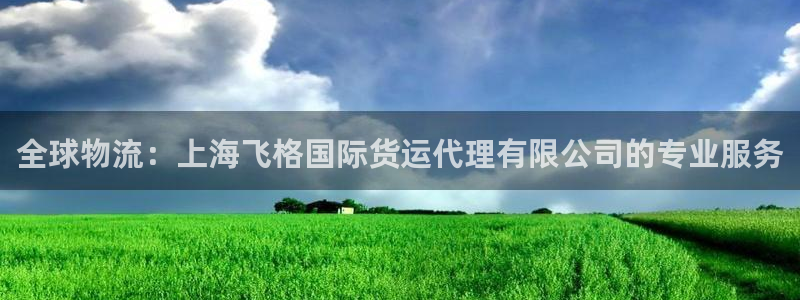 尊龙集团有限公司：全球物流：上海飞格国际货运代理有限公司