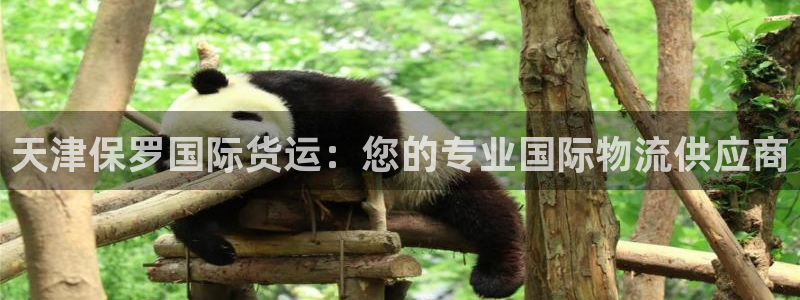 尊龙实业有限公司是正规还是仿：天津保罗国际货运：您的专业