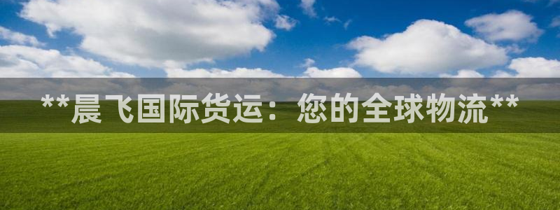 尊龙凯时人生就是搏·(中国)官网：**晨飞国际货运：您的