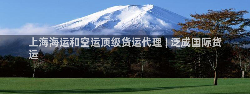 尊龙凯时贴吧：上海海运和空运顶级货运代理 | 泛成国际货