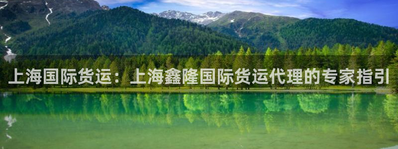 尊龙怎么没消息了：上海国际货运：上海鑫隆国际货运代理的专