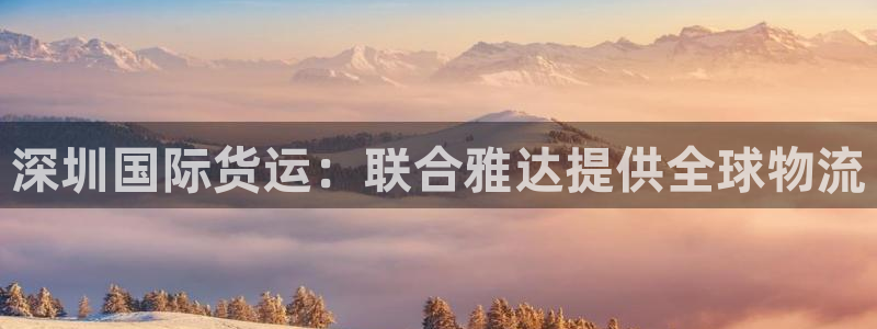 尊龙凯时app官方网站：深圳国际货运：联合雅达提供全球物
