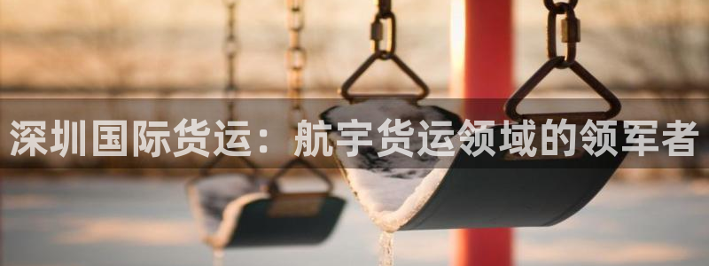 尊龙凯时提不了款：深圳国际货运：航宇货运领域的领军者