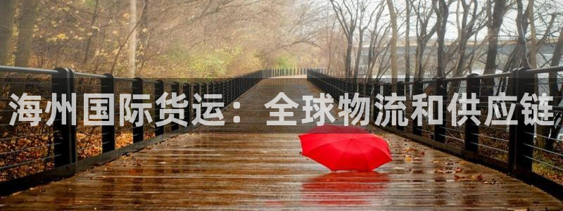 尊龙app登录不了：海州国际货运：全球物流和供应链