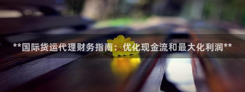 尊龙凯时官方网站下载：**国际货运代理财务指南：优化现金